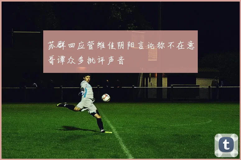苏群回应管维佳阴阳言论称不在意哥谭众多批评声音